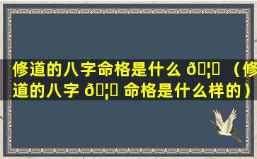 修道的八字命格是什么 🦟 （修道的八字 🦉 命格是什么样的）